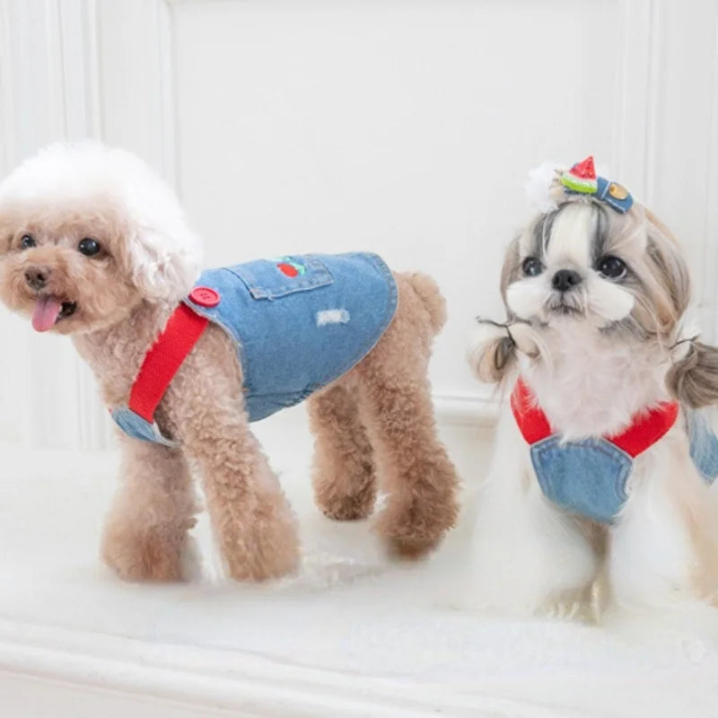 Fashion Embroidered Denim Dogs Skirt Plush Pet Clothes Cat and Dog Clothes Teddy Bear Coat Hat Dog Christmas Clothes Dog Dress