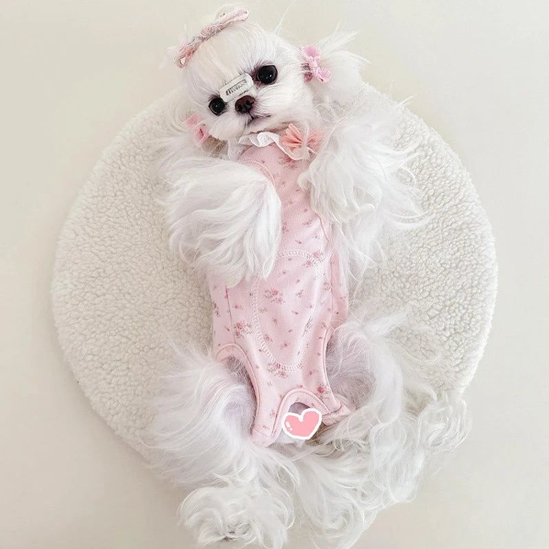 Spring and Autumn/Winter Pet Jumpsuit, Cat and Dog Clothes, Floral and Velvet Lace Elastic Home Sleepwear Puppy Cloth Pajamas