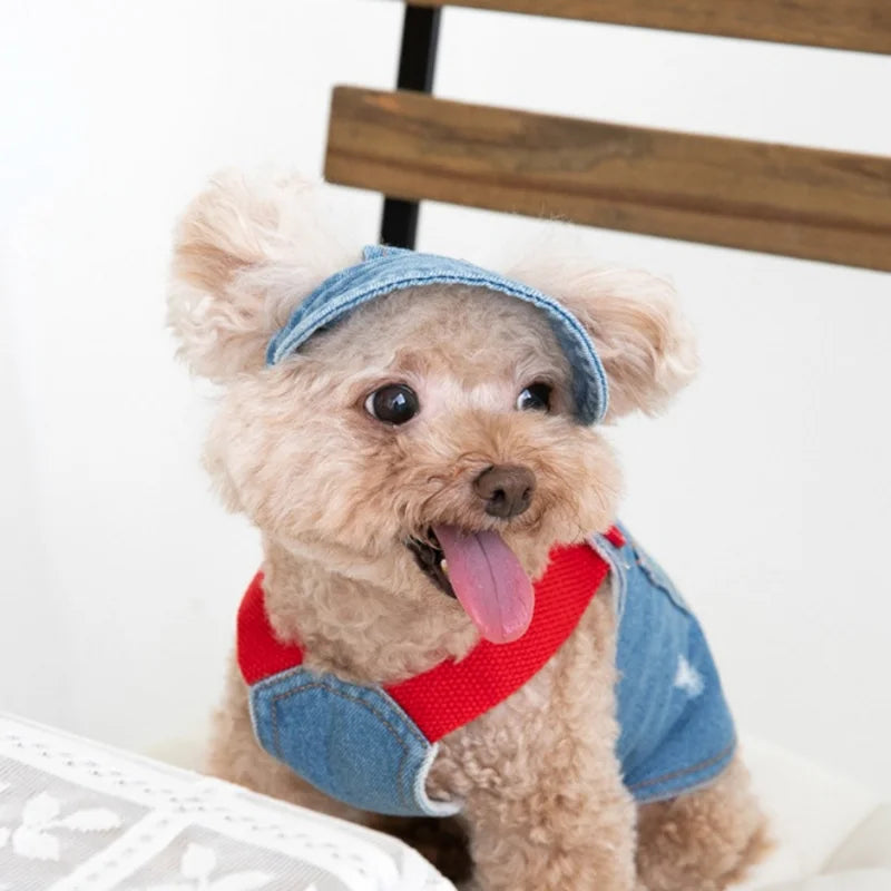 Fashion Embroidered Denim Dogs Skirt Plush Pet Clothes Cat and Dog Clothes Teddy Bear Coat Hat Dog Christmas Clothes Dog Dress