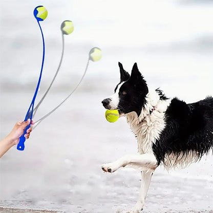 Pet ball throwing stick dog training toy ball throwing device outdoor tennis training amuse dog ball throwing toy